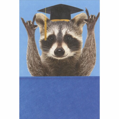 Recycled Paper Greetings Raccoon in Grad Cap Showing Right On Sign Graduation Card Perspective: front