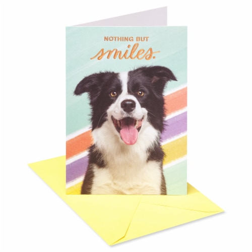 American Greetings Birthday Card - Nothing But Smiles (#39) Perspective: front