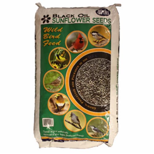 Jrk Seed & Turf Supply B200040 40 lbs. Black Sunflower Food Perspective: front