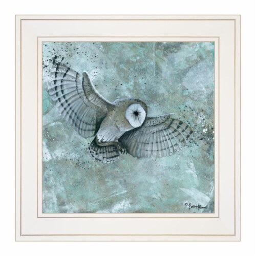 HomeRoots 404331 Simplicity Blue & Gray Owl White Framed Print Wall Art, Bluish Earthtone Perspective: front