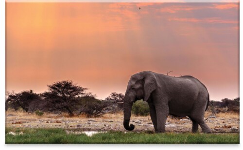 New View Large Elephant Art Perspective: front