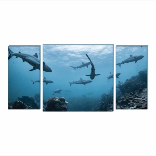 New View Underwater Scene Stretched Canvas Art Set Perspective: front