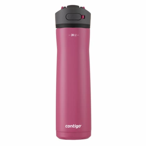 Contigo Ashland Chill Stainless Steel Water Bottle with Leakproof Lid &  Straw, Water Bottle with Handle Keeps Drinks Cold for 24hrs & Hot for 6hrs