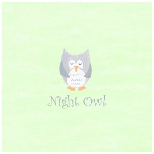 Little Acorn S11W32 Night Owl Rug Perspective: front