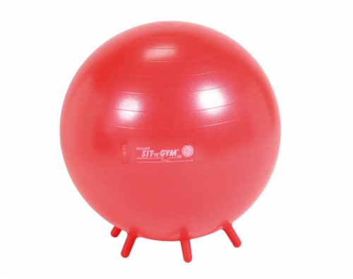 Gymnic Sit'n'Gym Fitness Ball Perspective: front