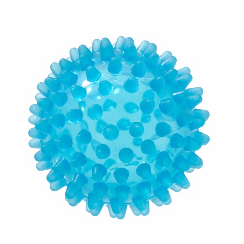 Gymnic Reflex Hedgehog Ball Perspective: front