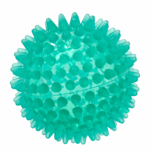 Gymnic Reflex Hedgehog Ball Perspective: front