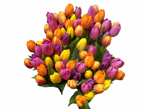 Tulips Bouquet Perspective: front