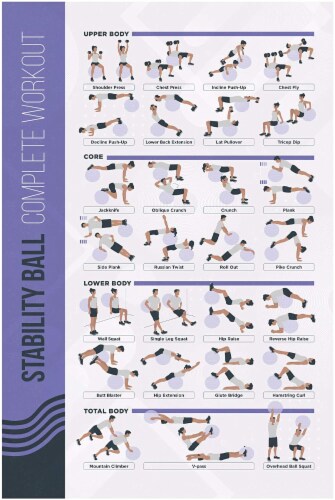 FitMate Stability Ball Workout Exercise Poster Workout Routine