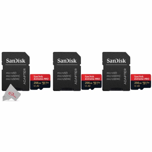 256 GB Micro SD Card & Adapter