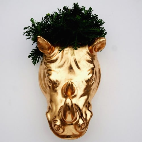 Spazio Rhino Gilded Wall Planter, Gold Perspective: front