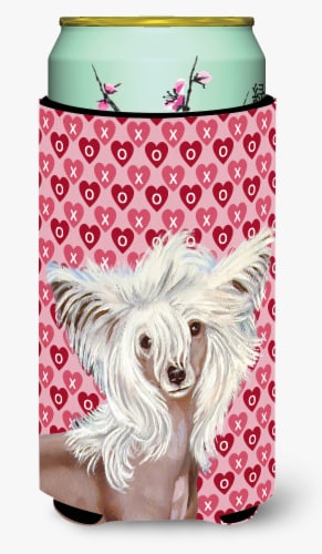 Chinese Crested Hearts Love and Valentine's Day Portrait Tall Boy Hugger Perspective: front