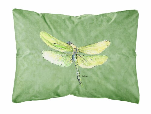 Carolines Treasures  8864PW1216 Dragonfly on Avacado Canvas Fabric Decorative Pi Perspective: front