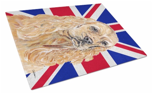 cocker spaniel food