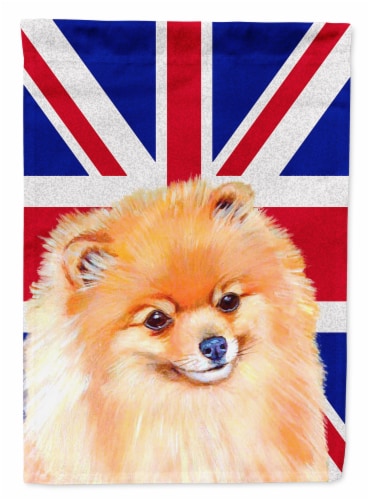 Pomeranian english sales