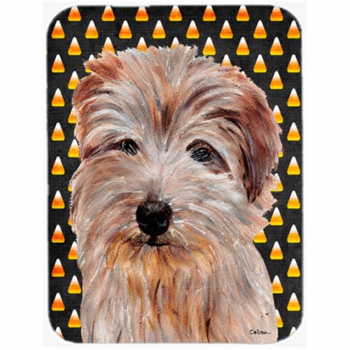 Carolines Treasures SC9664MP Norfolk Terrier Candy Corn Halloween Mouse Pad&#44; Hot Pad Or T Perspective: front