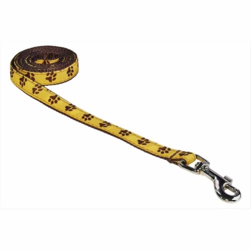 Yellow dog best sale leashes