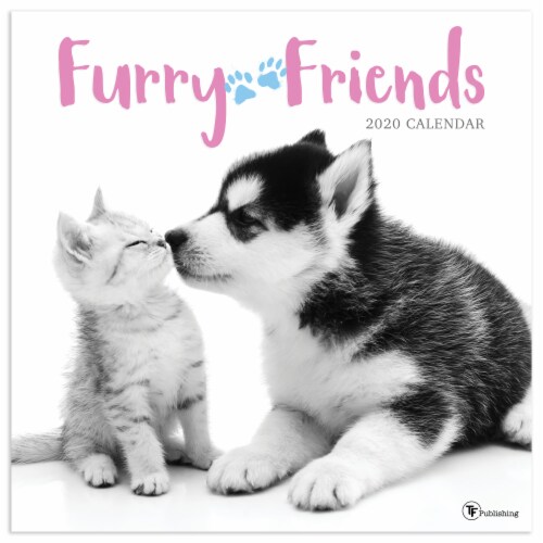 2020 Furry Friends 16-Month Wall Calendar by TF Publishing Perspective: front