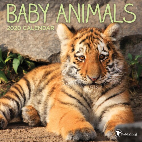 TF Publishing 2020 Baby Animals Mini Calendar Perspective: front