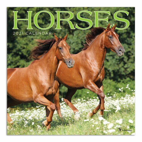 TF Publishing 2021 Wall Calendar – Horses Perspective: front