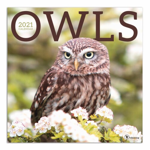 2021 Owls Wall Calendar by TF Publishing, 1 ct - Fred Meyer