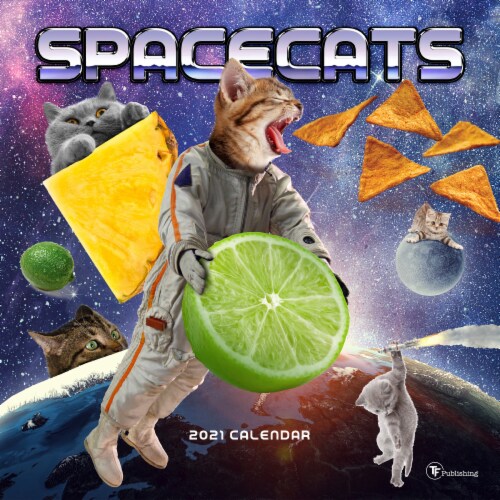 TF Publishing 2021 Space Cats Wall Calendar Perspective: front