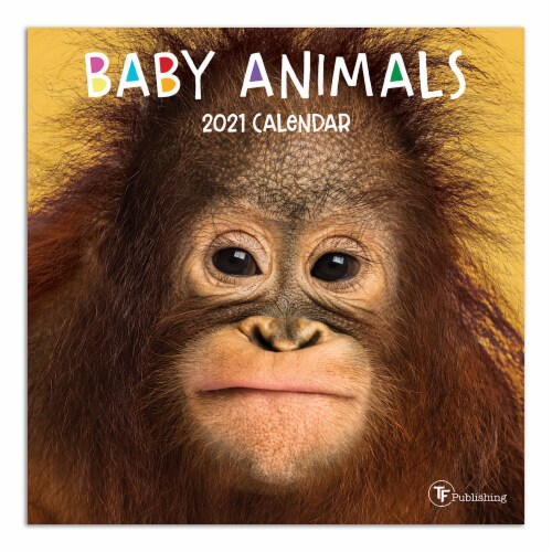 2021 Baby Animals Mini Calendar by TF Publishing Perspective: front