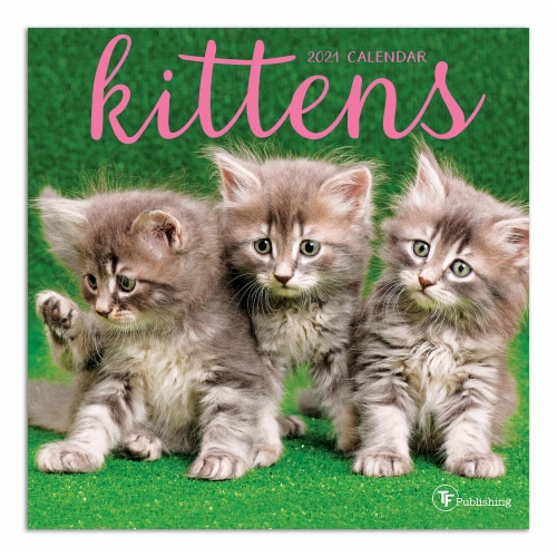 TF Publishing 2021 Mini Wall Calendar – Kittens Perspective: front