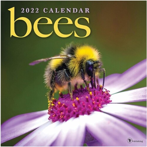 2022 Wall Calendar, Bees 12x12 In, 16 Months Large Grid Monthly