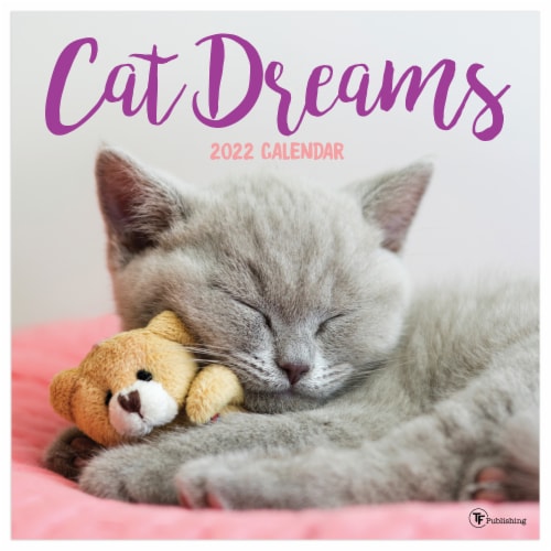 TF Publishing 2022 Cat Dreams Calendar, 1 ct Kroger