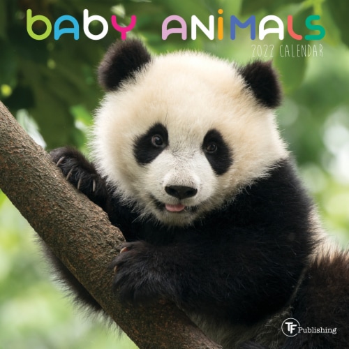 2022 Baby Animals 12 Month Mini Calendar by TF Publishing Perspective: front