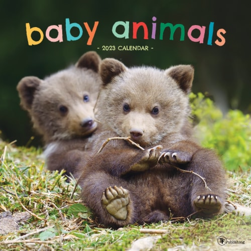 2023 Baby Animals Wall Calendar, 1 ct Kroger
