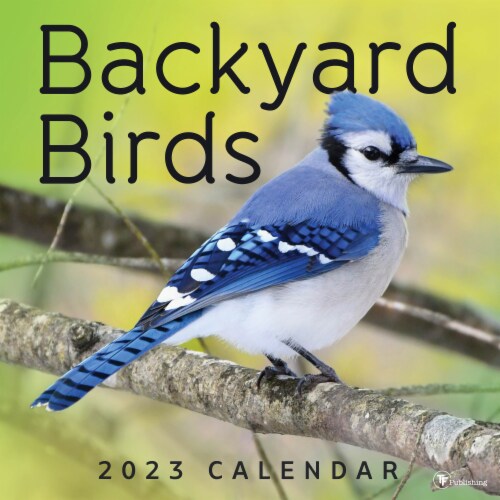 2023 Backyard Birds Wall Calendar Perspective: front