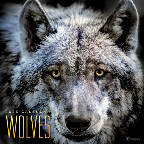 2023 Wolves Wall Calendar, 1 ct Fred Meyer