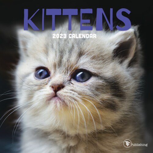 2023 Kittens Mini Calendar by TF Publishing Perspective: front