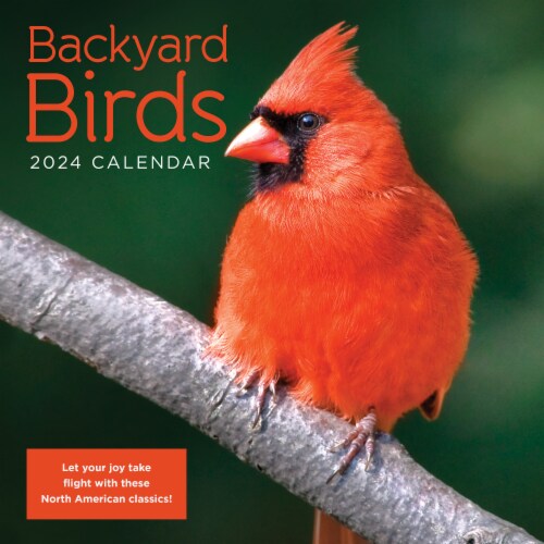 2024 Backyard Birds 12 Month Wall Calendar, 1 ct Kroger
