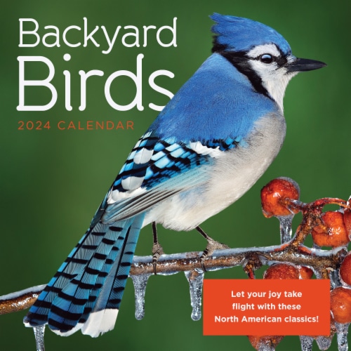 TF Publishing 2024 Backyard Birds Mini Calendar, 1 ct Kroger
