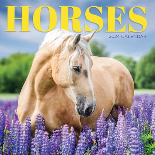 TF Publishing 2024 Horses Mini Calendar, 1 ct Kroger