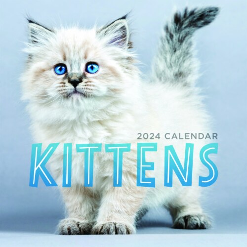 TF Publishing 2024 Kittens Mini Calendar Perspective: front