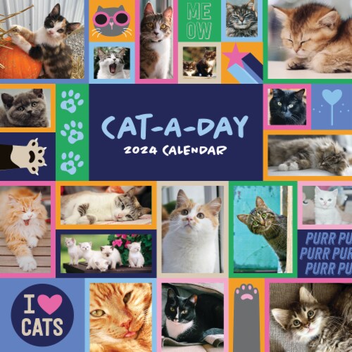 TF Publishing 2024 CatADay 12 Month Wall Calendar, 1 ct Kroger