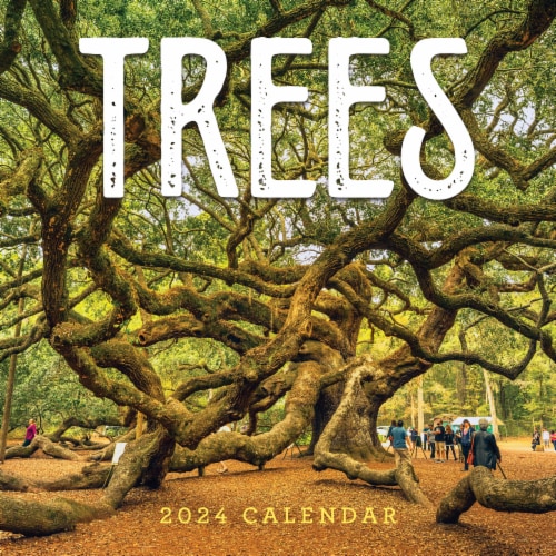 TF Publishing 2024 Trees 12 Month Wall Calendar, 1 ct Kroger