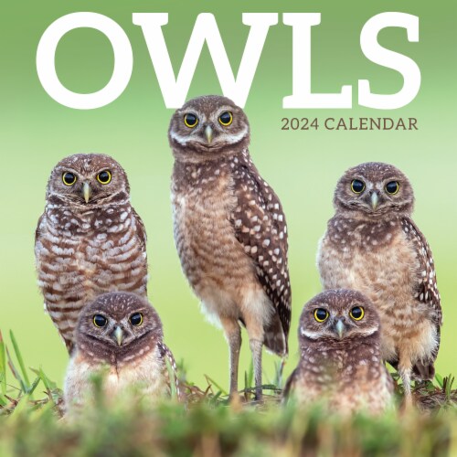 TF Publishing 2024 Owls Wall Calendar, 1 ct Kroger
