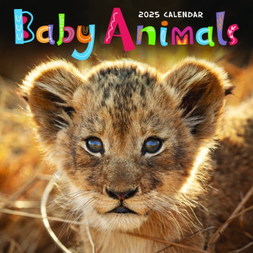 2025 Baby Animals Wall Calendar Perspective: front