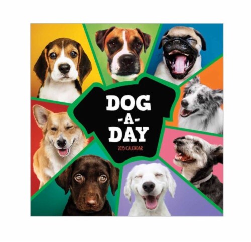 TF Publishing 2025 Dog-A-Day Wall Calendar Perspective: front