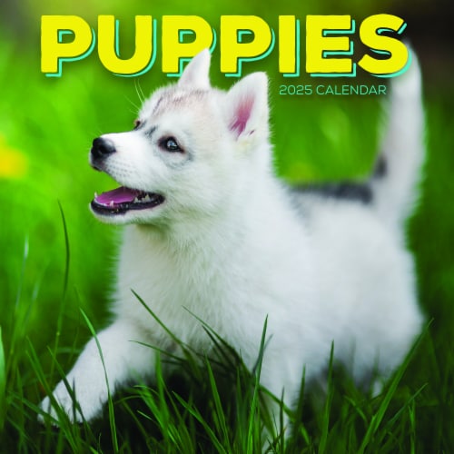 2025 Puppies Wall Calendar Perspective: front