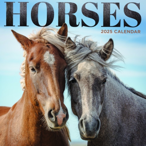 2025 Horses Mini Calendar Perspective: front