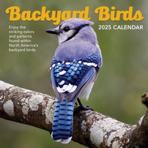 2025 Backyard Birds Wall Calendar, 1 ct Kroger