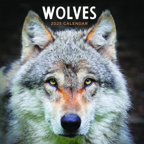 2025 Wolves Wall Calendar Perspective: front