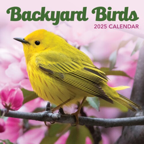 2025 Backyard Birds Mini Calendar, 1 ct Kroger