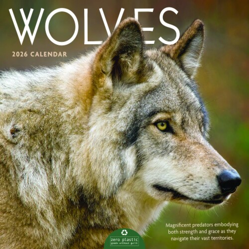 2026 Wolves 12 Month Wall Calendar by TF Publishing Perspective: front